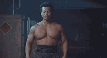 bolo yeung34 standing double impact movie