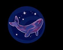 Spacewhale GIF - Spacewhale GIFs