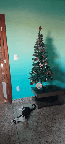 a cat laying next to a christmas tree in a living room