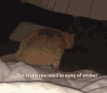The Truth Revеaled In Eyes Of Ember Burythelight GIF - The Truth Revеaled In Eyes Of Ember The Truth Revеaled In Eyes The Truth Revеaled In Eyes Of GIFs