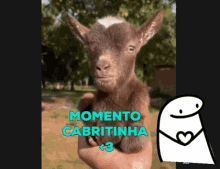 Cabritinha Momento GIF - Cabritinha Momento GIFs