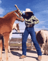 Black Cowboy GIF - Black Cowboy Cowgirl GIFs