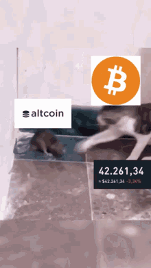 Slap Shitcoin Bitcoin Crash GIF - Slap Shitcoin Bitcoin Crash Stxbtc GIFs