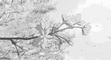 a black and white drawing of a tree with flowers