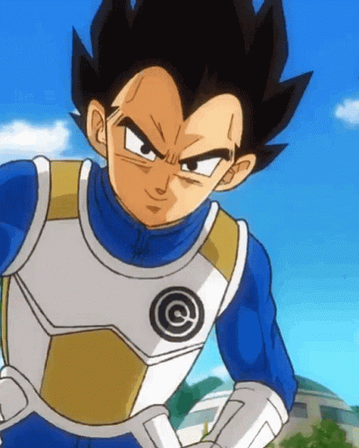dbh vegeta