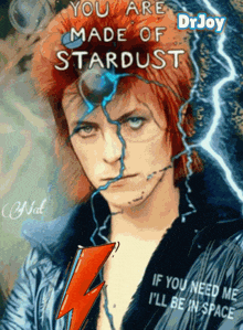 a poster of david bowie with the words you are made of stardust on it