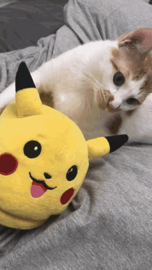 Shimi Pikachu GIF - Shimi Pikachu GIFs