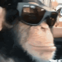 Monke Sunglasses GIF