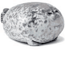 Seal Pillow Squishy Cute Seal GIF - Seal Pillow Squishy Cute Seal Seal GIFs