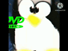 a penguin with a yellow beak is sitting in front of a dvd video sign .