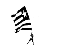 Bandeirabotafogo GIF