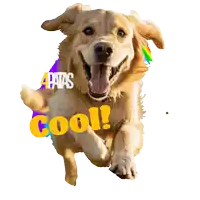 a picture of a dog with the words 4 patas cool below it