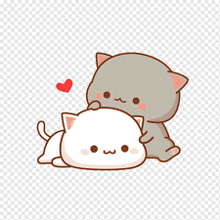 a couple of cats laying next to each other with a heart .
