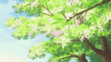 Anime Forest Anime GIF - Anime Forest Anime GIFs