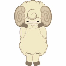 shy sheep