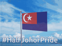 Johor Malaysia GIF - Johor Malaysia Pride GIFs