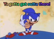 Sonic Sonic Says GIF
