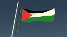 palestine free palestine