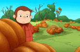 a cartoon monkey stands in a field of pumpkins