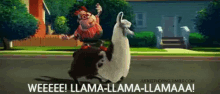 Wee Llama GIF
