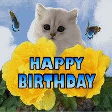 Happy Birthday Kitten Birthday GIF - Happy Birthday Kitten Birthday Kitten And Butterflies GIFs