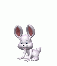 White Rabbit Jumping GIF - White Rabbit Jumping GIFs
