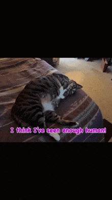 a cat laying on a bed with the words i think i 've seen enough human
