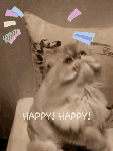 Happy Cat GIF - Happy Cat Kitty GIFs