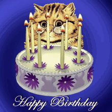 happy birthday birthday cake birthday cat happy birthday candles happy birthday wishes