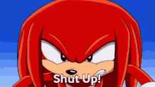 Sonic Knuckles The Echidna GIF - Sonic Knuckles The Echidna Sonic X GIFs