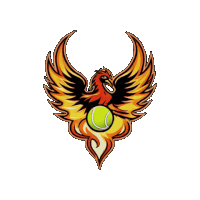 an illustration of a phoenix holding a tennis ball in its beak