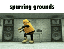 Sparring Grounds GIF - Sparring Grounds GIFs