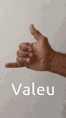 Valeu GIF