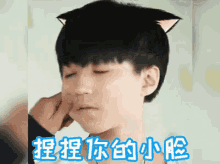 王俊凯 可爱 Tfboy 捏捏 捏脸 GIF - Tfboy Wang Jun Kai Cute GIFs