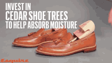 Cedar Shoe Trees Shoes GIF - Cedar Shoe Trees Shoes Absorb Moisture GIFs