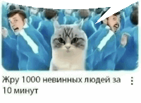 мемы с котами афвфвфвфвфввфвфвфвфвф Sticker