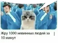 мемы с котами афвфвфвфвфввфвфвфвфвф Sticker