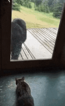 Cat House Proctected GIF