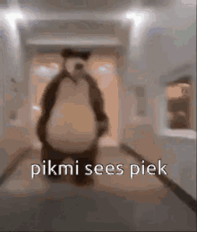 Pikmi GIF - Pikmi GIFs