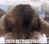 Detroit Tigers Win GIF