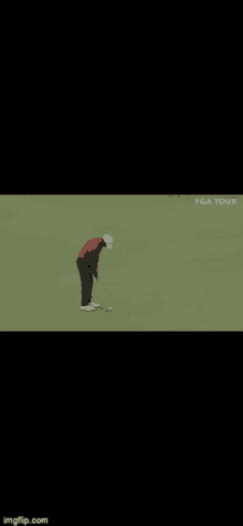 Tiger Woods GIF