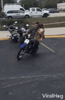 Dog Motorcycle GIF - Dog Motorcycle Pet GIFs