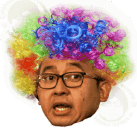 a man wearing glasses and a clown wig with the year 2013 on it