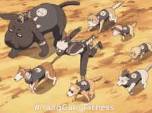 yang gang fitness kakashi dogs running ninja