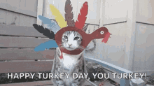 Turkey Thanksgiving Break GIF - Turkey Thanksgiving Break Funny GIFs