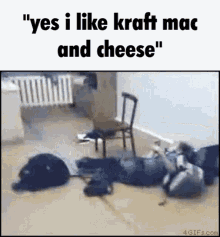 Yes I Like Kraft Mac And Cheese Kraft GIF - Yes I Like Kraft Mac And Cheese Kraft Yes GIFs