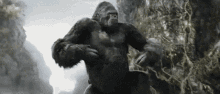 King Kong GIF - King Kong Of GIFs