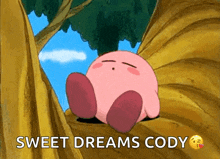 Kirby Sleep GIF - Kirby Sleep GIFs