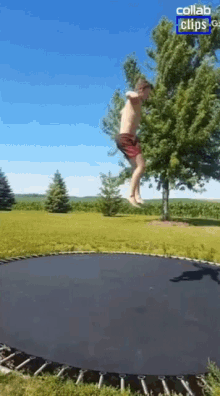Jump Bounce GIF - Jump Bounce Leap GIFs