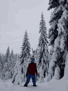 a person in a red jacket and blue pants stands in the snow